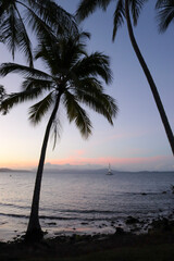 Port Douglas - Australia 