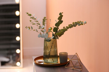 Vase with fresh eucalyptus branches on cabinet in room. Interior design