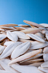 The internal shell or bone of dead cuttlefish. Cuttlefish bone on studio background.