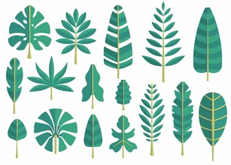 Set of tropical leaves. Vector isolated exotic leafs on the white background. Flat design.