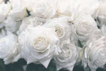 white roses bouquet