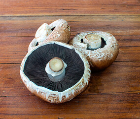 Three portobello mushrooms an isolated on wood table