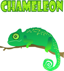 Image of a chameleon on tree