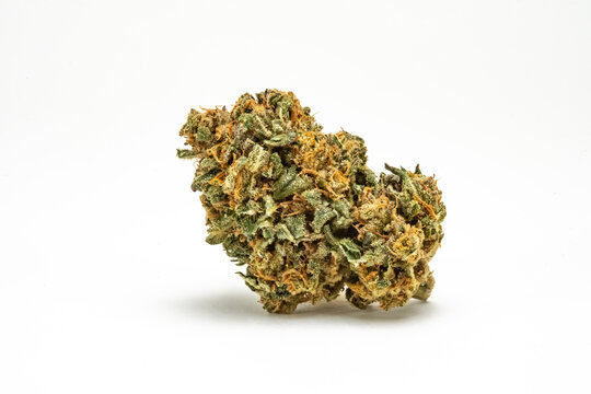 Close up prescription medical marijuana flower. CBD cannabis bud photography for dispensary menu. Medical marijuana strain. Weed bud, weed flower on white background.