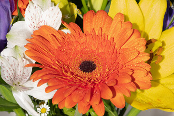The gerbera flower is bright orange among other fresh flowers in the bouquet. Flowers covered with water drops on a sunny day.