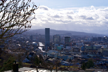 Fototapeta premium Panorama view over city of Zurich. Photo taken March 12th, 2021, Zurich, Switzerland.