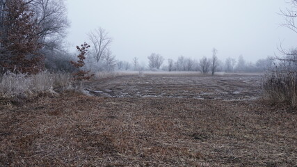 Misty landscape in winter