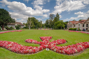 garden with flowers / Prague Castle, Czech Republic