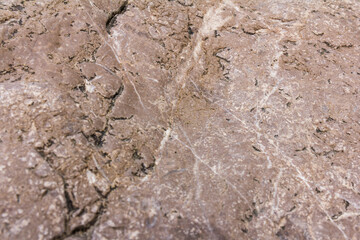 Texture created by nature. Wet stones