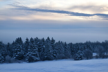 A sunrise over a spruce forest, Sainte-Apolline, Québec