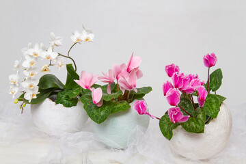Spring, beautiful, delicate flowers in an eggshell vase
