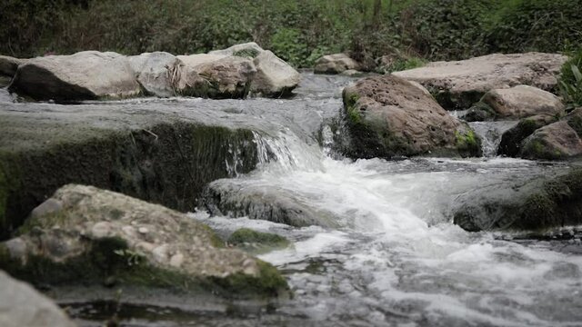 Water overflows over stones in a forest river