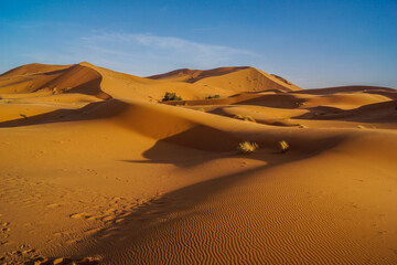 Fototapeta na wymiar After sunrise the dunes in the Sahara desert in Marocco seem to be untouched.