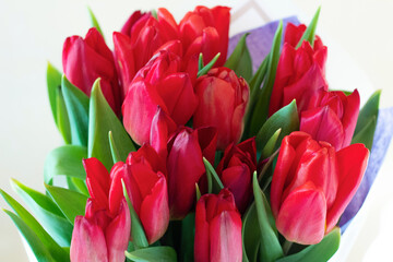 Beautiful bouquet of tulips close-up on a white isolated background. Red tulips