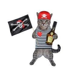 A gray cat in a pirate uniform drinks rum. White background. Isolated.