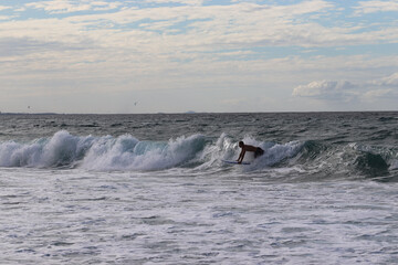 Fototapeta premium surfing the wave