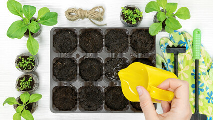 How to use uncoated pressed peat pellets in cell containers instruction. Step 2. Pour dry peat or...