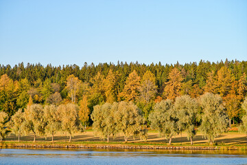 Autumn trees on the lake
