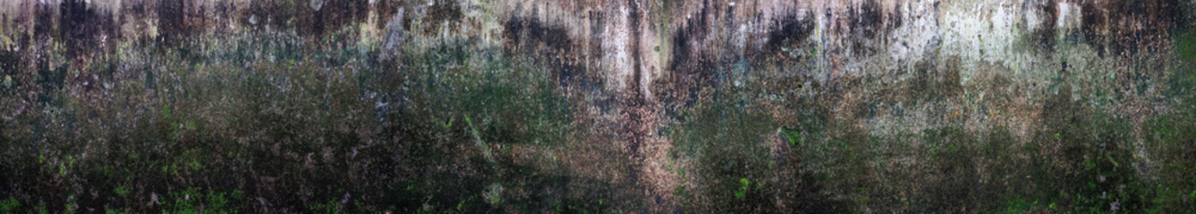 rough wall texture background collection. damaged mossy wall surface in panorama. 3d textured background for interior, decoration, wallpaper, etc.