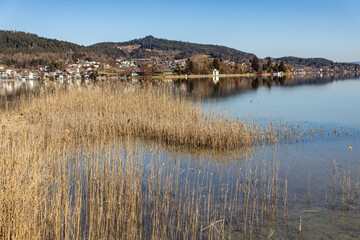 Reeds on Lake W&ouml;rthersee