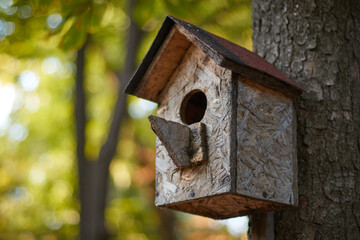 birdhouse on a branch on a tree trunk bird house in autumn in the park in the forest blurred background