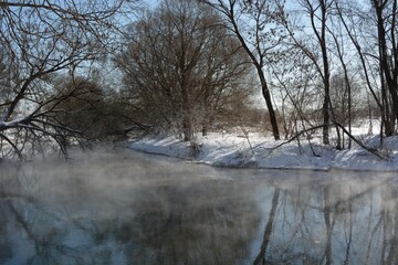 Spring walk in the floodplain of the Desna River