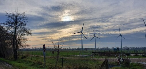 wind turbines in the field