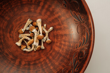 Psilocybin mushrooms in ceramic dish, brown background. Psychedelic magic Golden Teacher mushrooms. Medical usage. Microdosing concept.