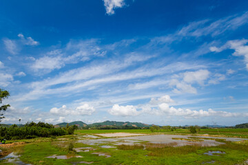 Tropical Phong Nha Vietnam landscape
