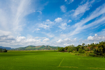 Fototapeta na wymiar Tropical Phong Nha Vietnam landscape