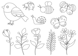 Set spring black and white coloring flowers birds insects vector illustration	