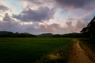 Tropical Phong Nha Vietnam landscape