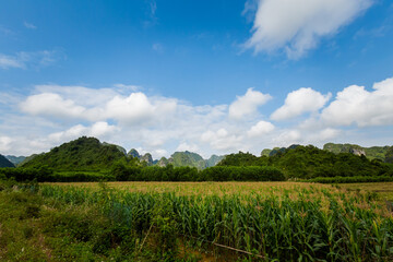 Tropical Phong Nha Vietnam landscape