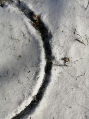 abstract natural light background of freshly fallen snow on the grass with an arc in the middle