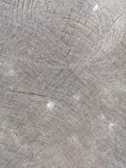 Fototapeta premium industrial background and texture of old dry wooden surface with small cracks