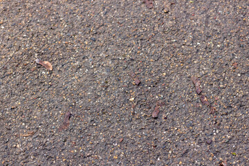 surface of textured stone road, close up and full frame
