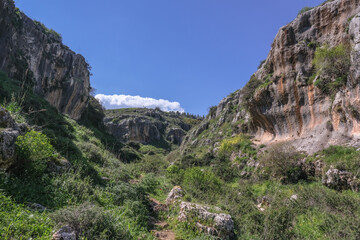 Colorful karstic rock formations in the narrow canyon of Nahal [stream] Aviv, east of Upper Galilee, Northern Israel, south of Lebanon border, Israel.