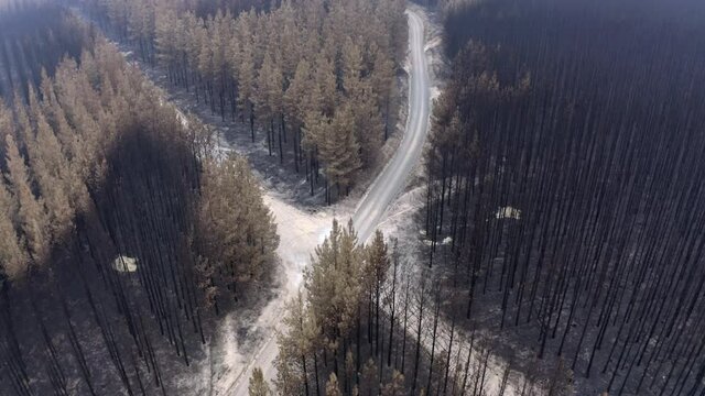 Aerial Ascending Tilt Down: Cross Roads Covered With Ashes From Bush Fire
