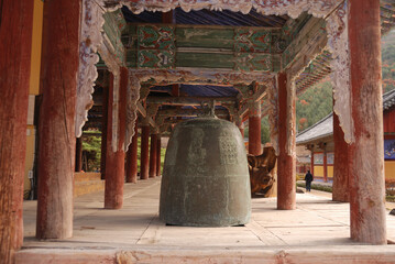 dzwon azjatycki © EwaAF