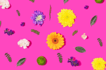 Pattern created of colorful natural fresh flowers heads  and leaves against bright magenta background. Flat lay.