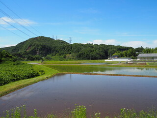 山を臨む田舎道
