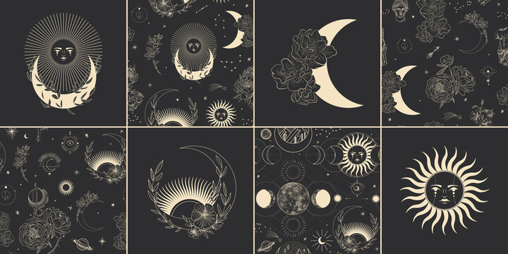 Vector illustration set of moon phases. Different stages of moonlight activity in vintage engraving style. branches of plants and flowers. sacred isoteric geometry