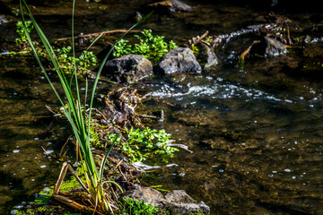 Kanopolis Lake Falls