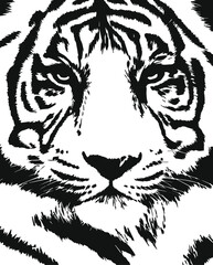 Tiger face