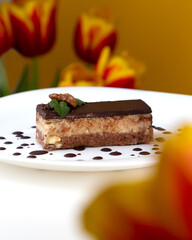 Traditional Croatian dessert Bajadera cake. Walnut and almond flour pralines covered with sweetened chocolate. Keto Dessert.