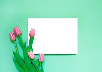 Mockup white greeting card and pink tulips on mint green background. Concept for spring or women's holidays, easter, mother's day. Delicate feminine background. top view. copy space. Flat lay