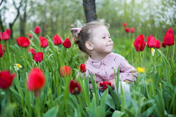 Toddler girl sitting and hiding in red tulips, close-up. Spring is beginning.