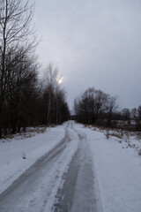 winter landscape with trees