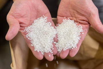 米を持つ手　生米　新米　酒米