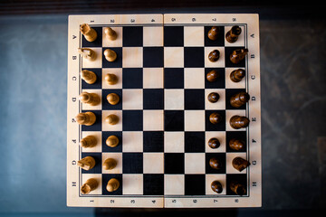 Chessboard; chess game; pawn; king